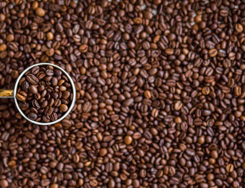 Kaffee gegen Alzheimer und Parkinson?